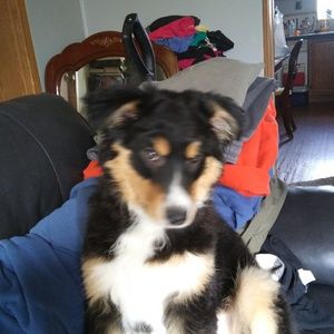 Meet your Posher, Mark